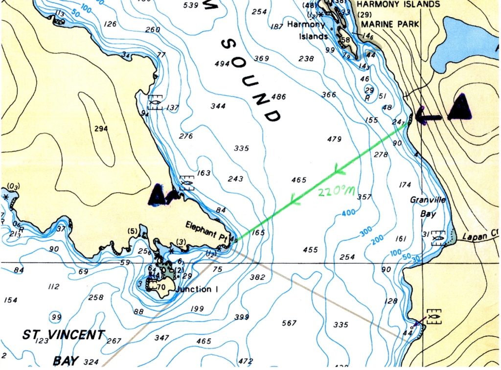 A section of a marine chart, with a pre-plotted bearing line from camp to Elephant Point.