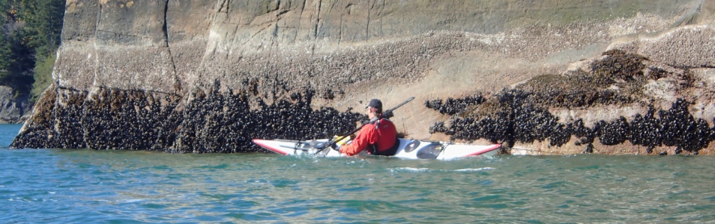 sea kayak practice: a paddler uses a high-brace turn to avoid ramming a cliff with their kayak.